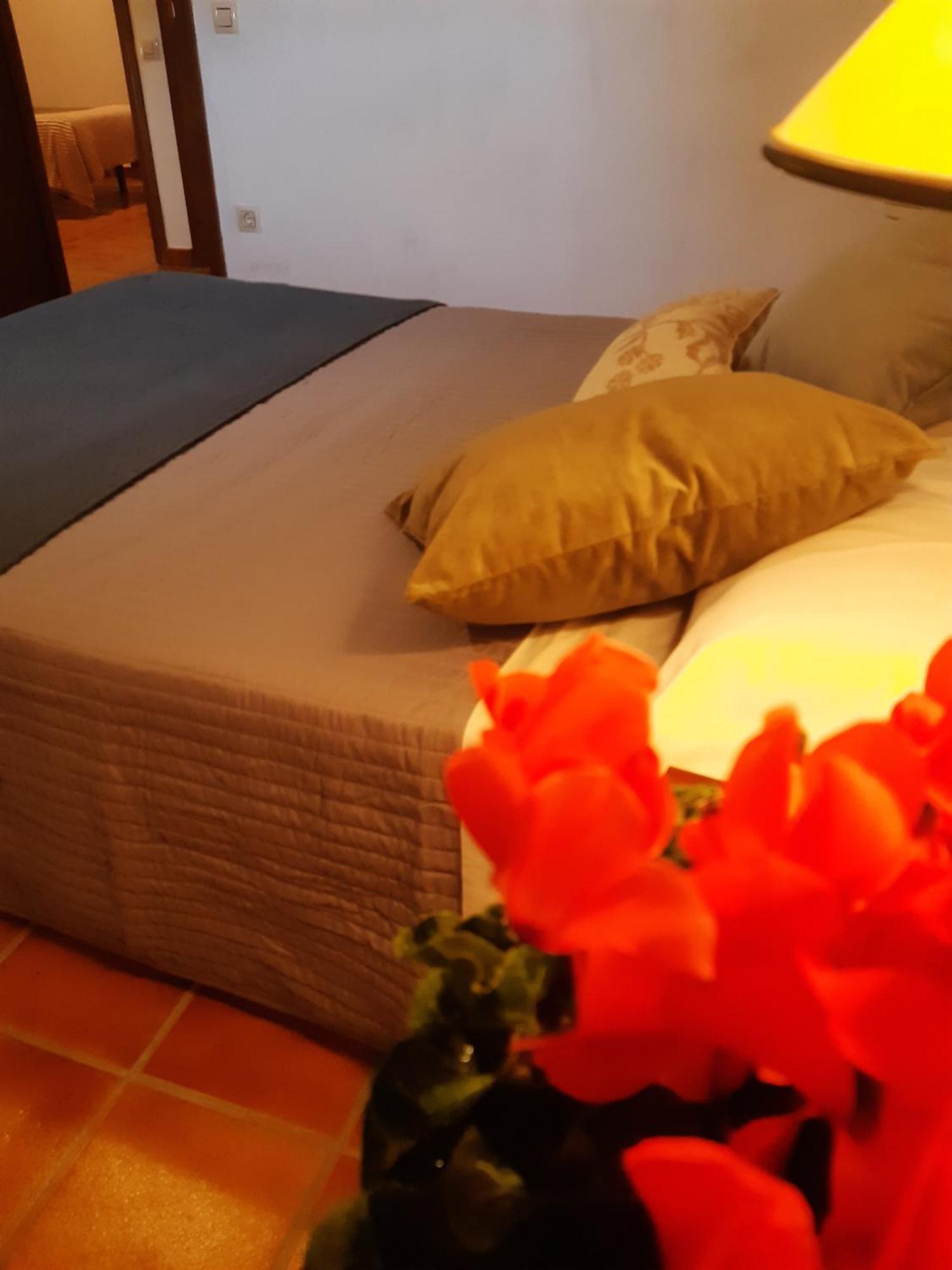 Musas Gastro Casa Rural Apartment Valdealgorfa Luaran gambar