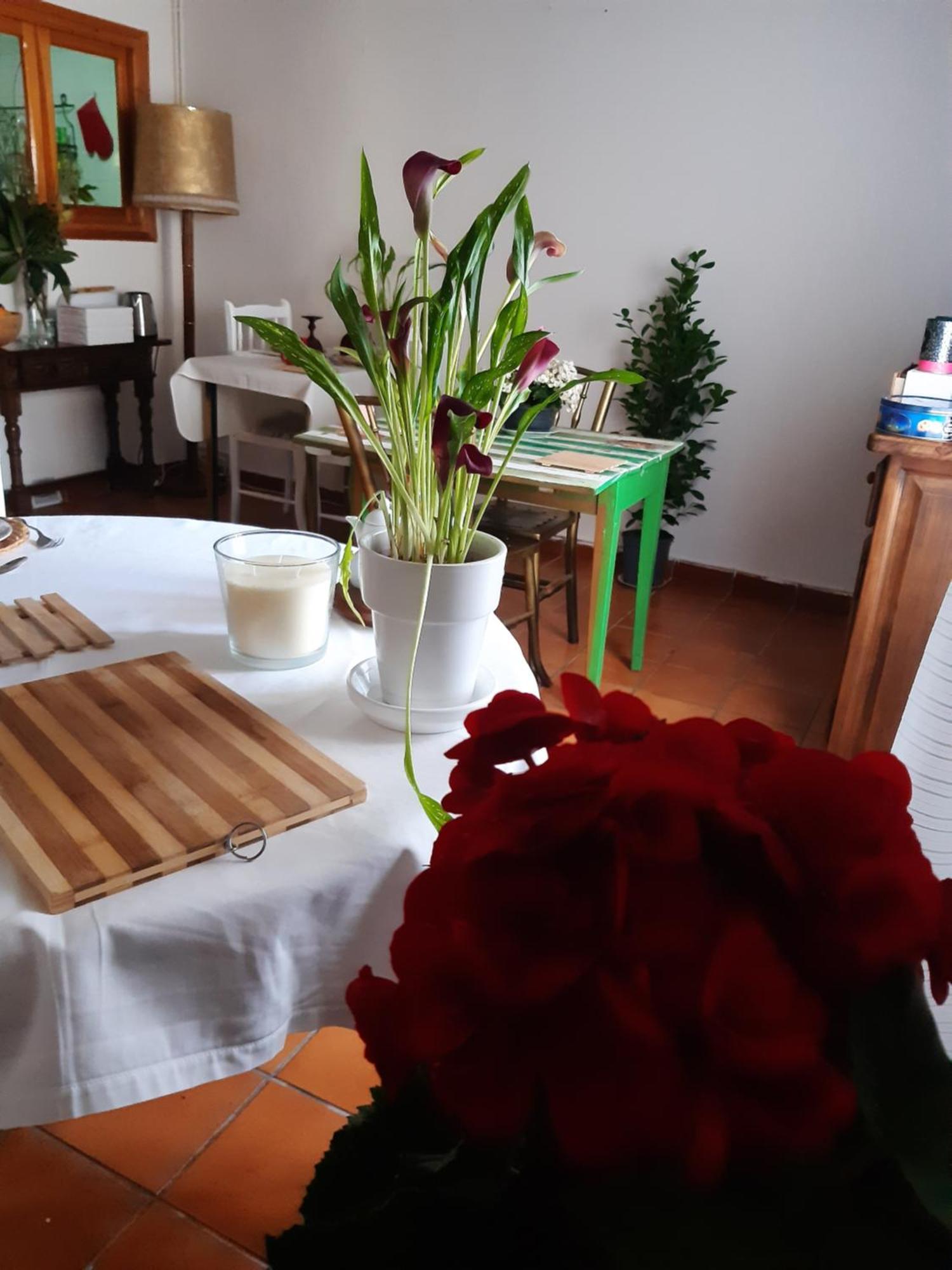 Musas Gastro Casa Rural Apartment Valdealgorfa Luaran gambar