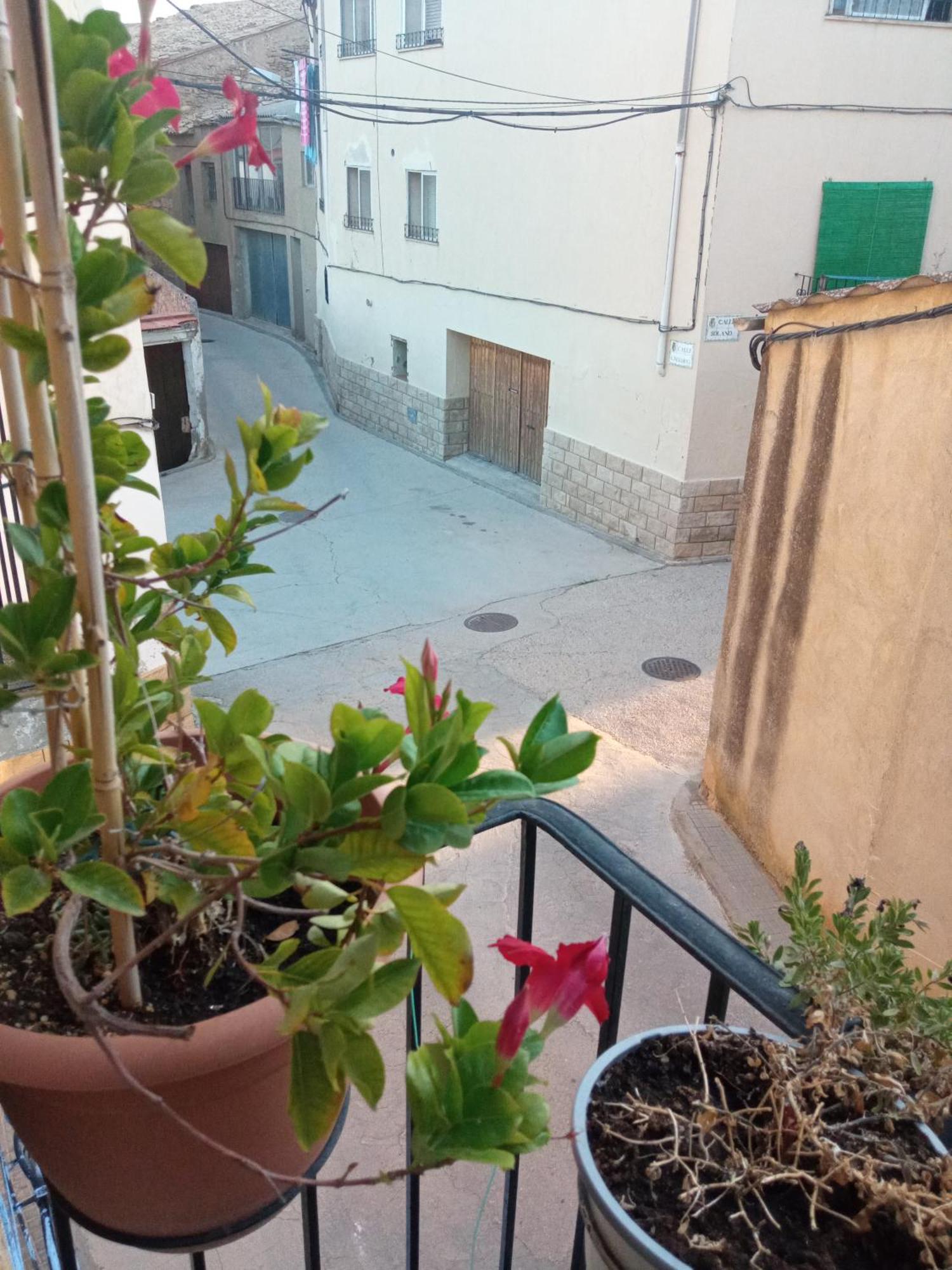 Musas Gastro Casa Rural Apartment Valdealgorfa Luaran gambar