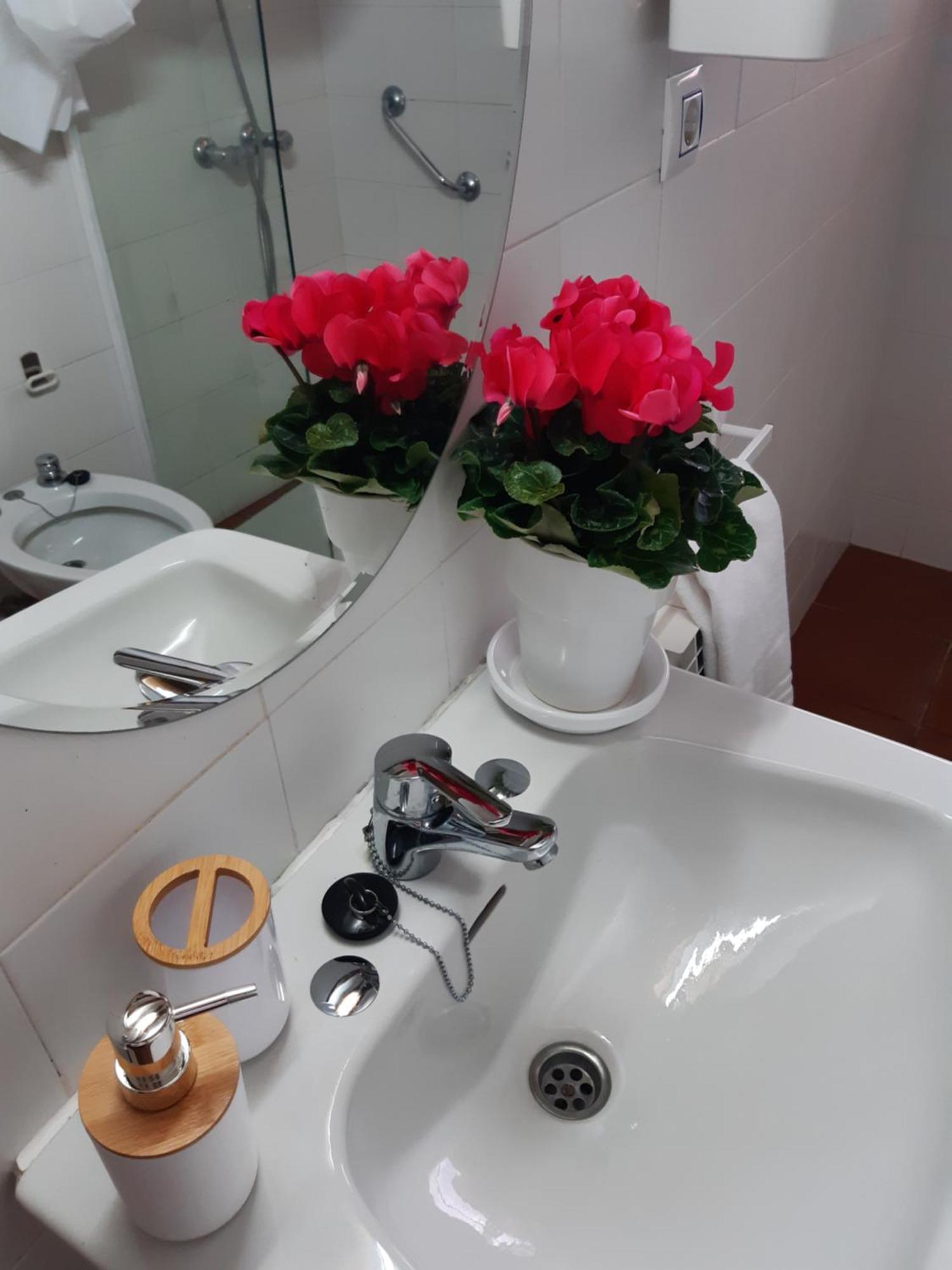 Musas Gastro Casa Rural Apartment Valdealgorfa Luaran gambar